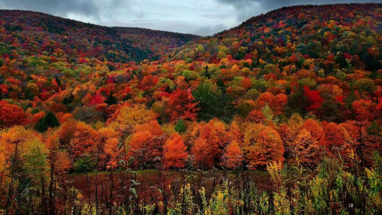 201763627590203450.jpeg 微信图片_20251120163038_241_2.jpg